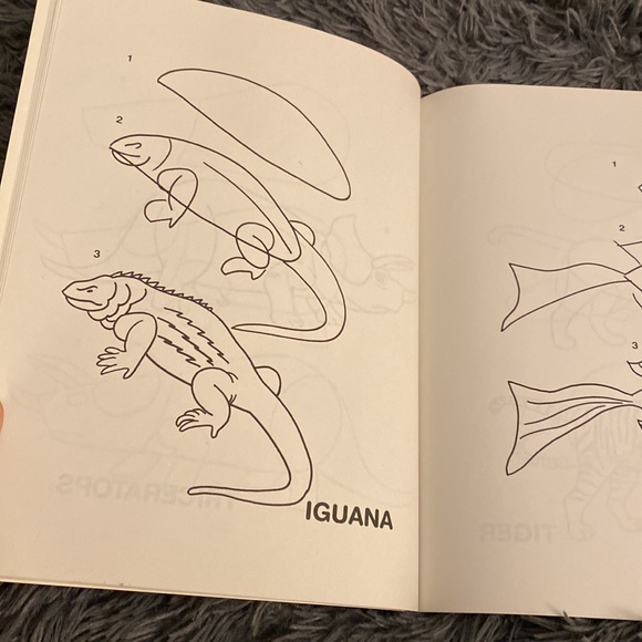 I Can Draw Animals BOOK - Picture 3 of 8